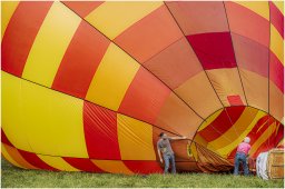 mongolfieres 2022 8